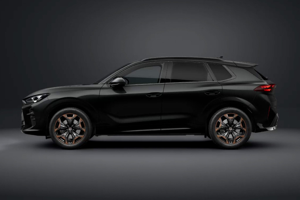 CUPRA Terramar 1.5 eTSI 51535055-1.jpg | Autocenter Oss